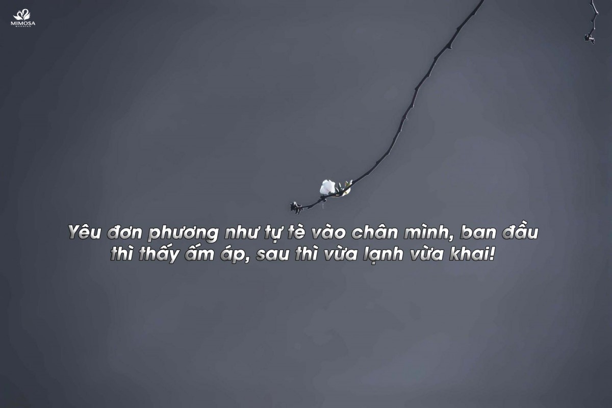 nhung cau noi ve tinh yeu don phuong