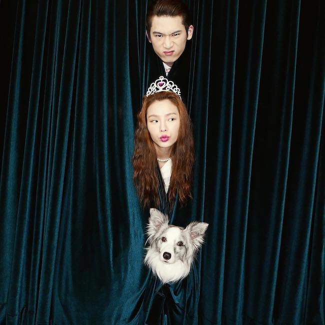 tao dang chup anh cuoi trong studio voi thu cung 