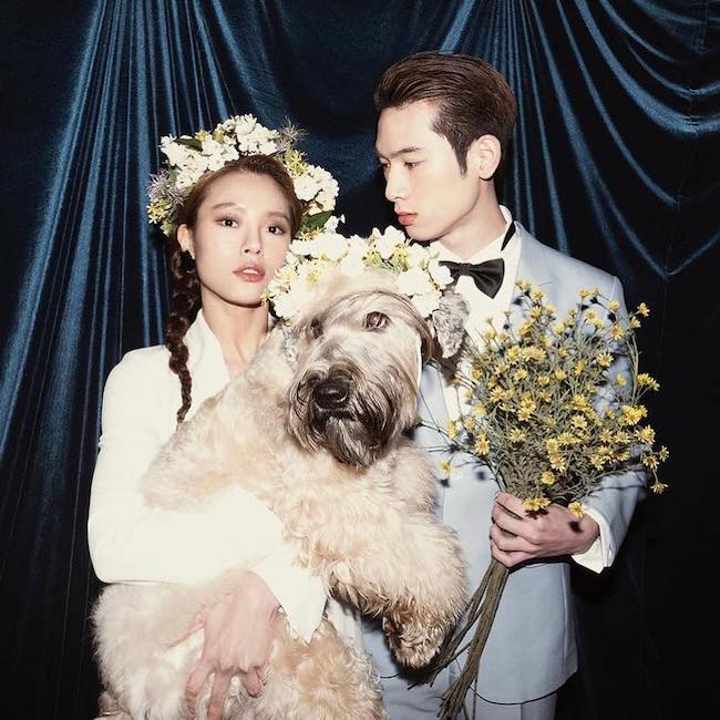 tao dang chup anh cuoi trong studio voi thu cung 1