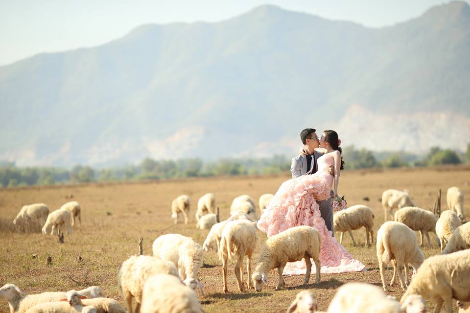 5 studio chup hinh cuoi gia re tphcm-5