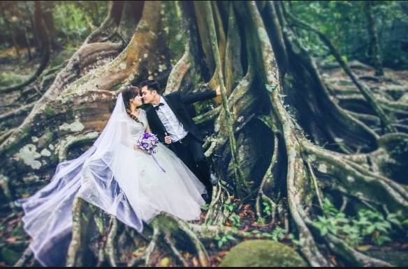 chụp ảnh cưới Đà Nẵng tại cây đa ngàn năm