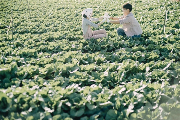 ý tưởng chụp ảnh cưới đẹp