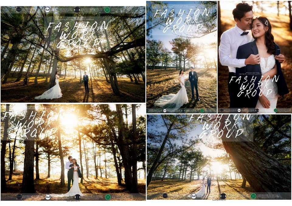 chụp ảnh cưới rừng thông